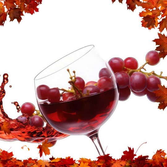 PETITE BANNIERE FOIRE AUX VINS 2025 (2)